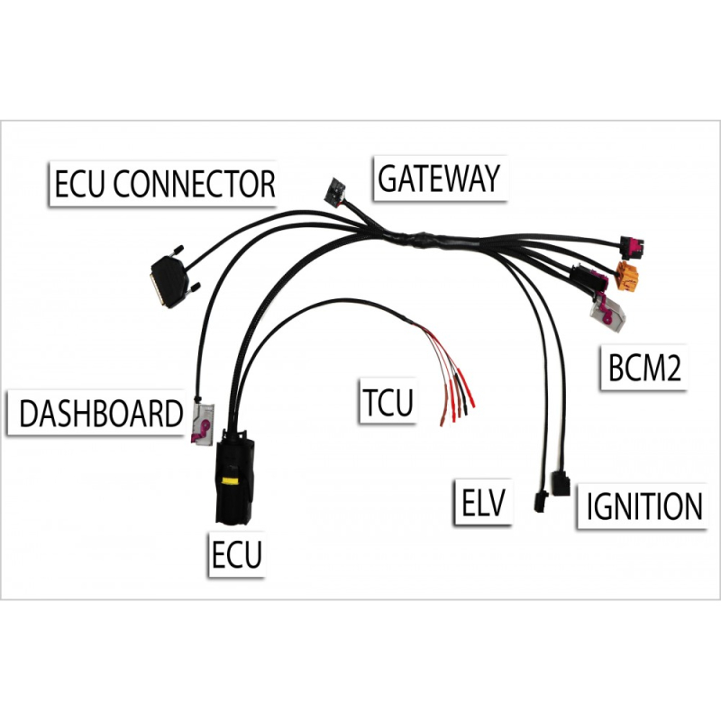 Ecu Service Audi A4 B8, A5, Q5 Testing Platform